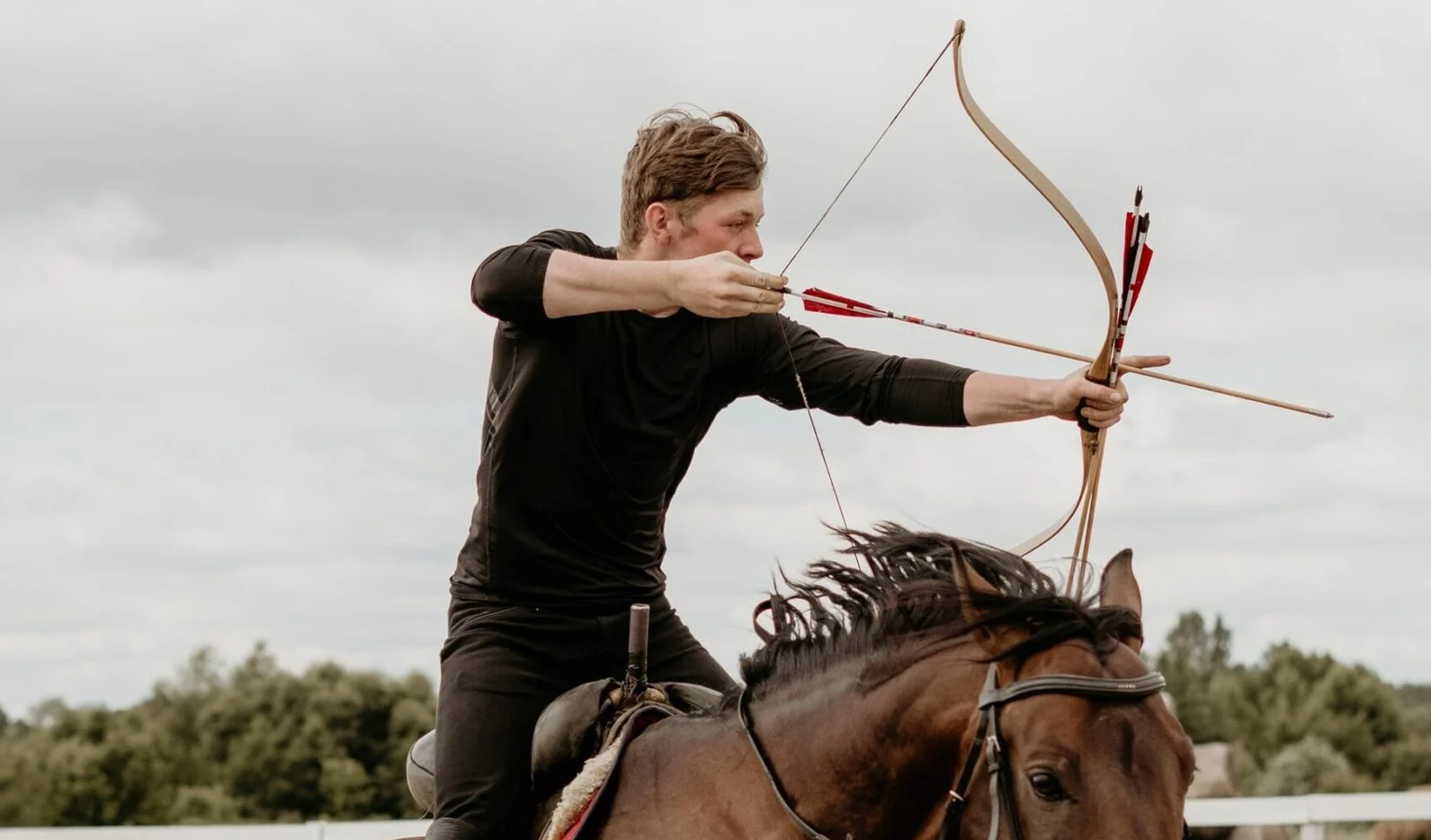 Meditation Stories: The Bird’s Eye