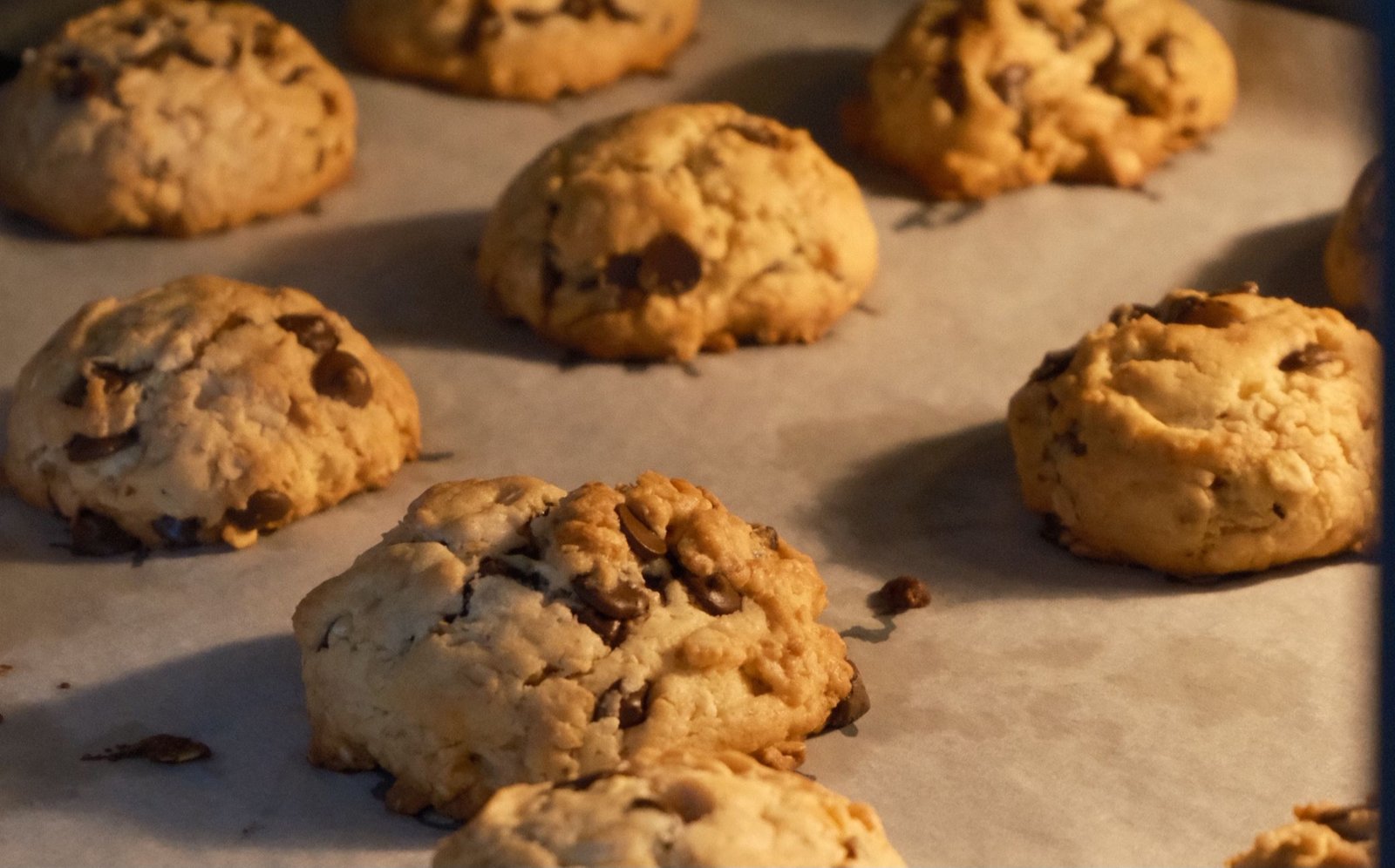 Eggless Choco (Cocoa) Walnut Cookies 
